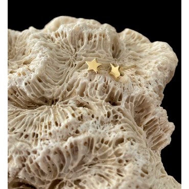 STAR EAR STUD
